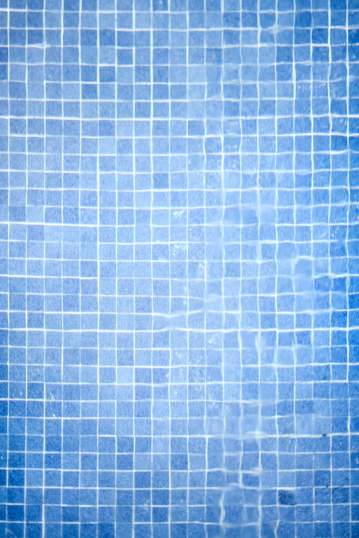 A grid of blue squares.